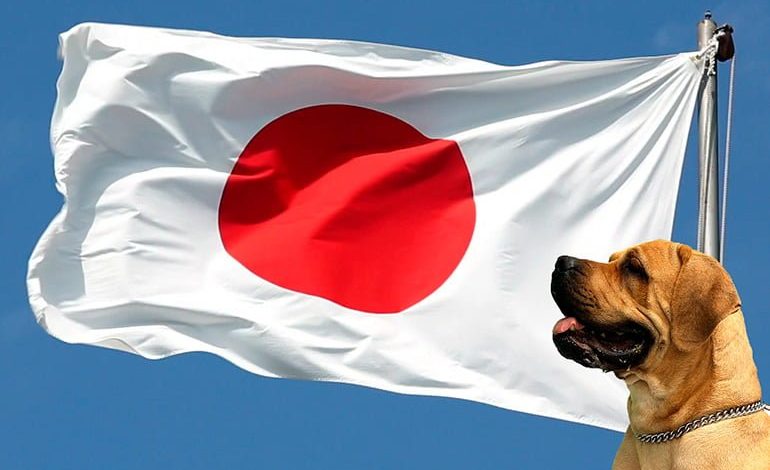 bandera de japon con perro
