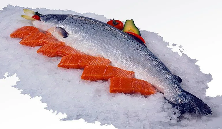 salmón