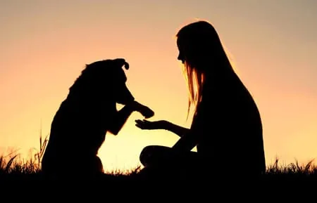 dog with a human