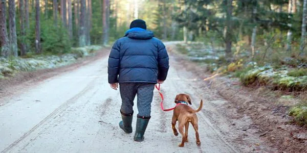 travesia por el monte con perro