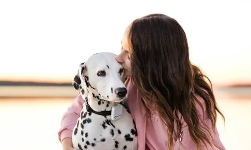 dog-with-its-owner