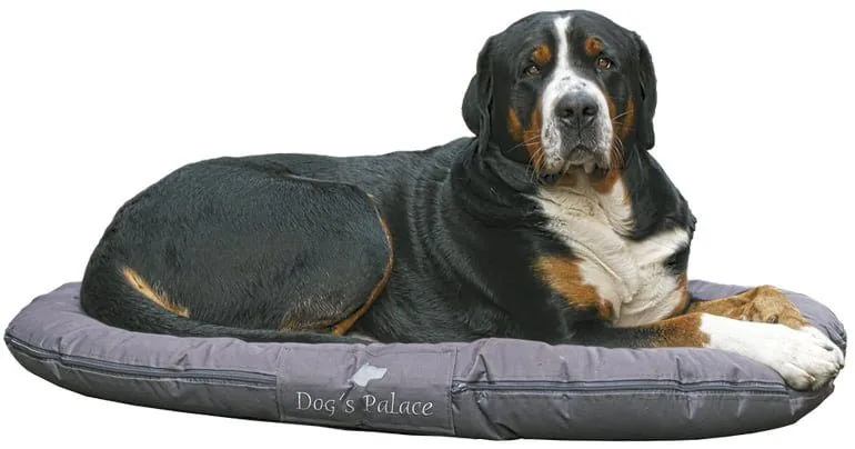 perro-sobre-cama-circular-de-tela-lavable