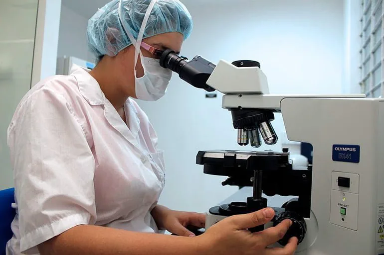 veterinaria-localizando-el-virus-distemper