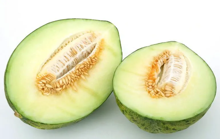 melón