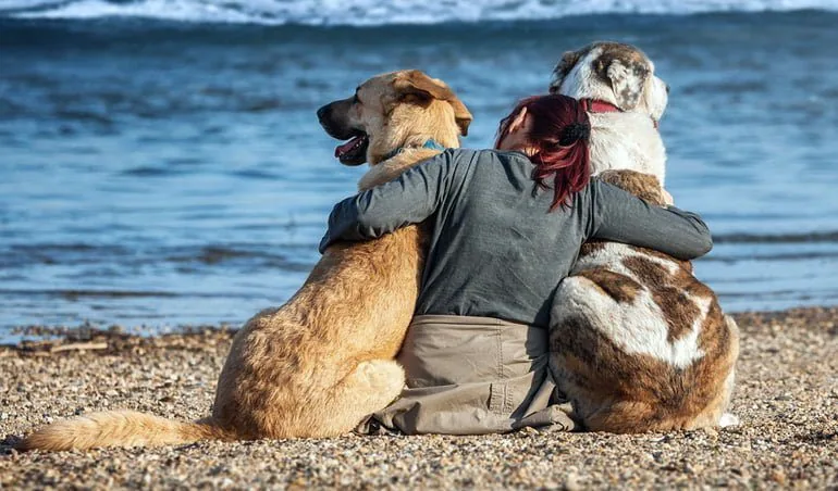 perros-con-su-dueña-en-la-playa