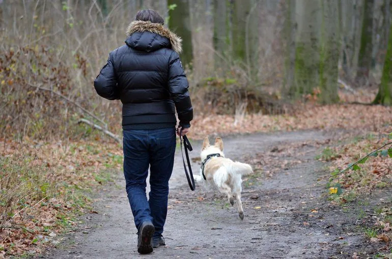 perro-paseando-con-su-dueño
