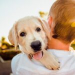 cachorro de perroen brazos de su humano