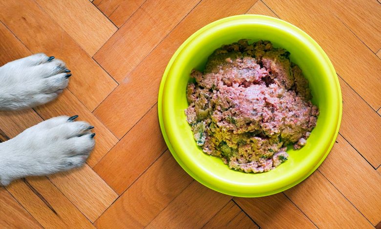 perro ante un cuenco con carne con suplementos nutricionales
