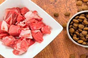 carne para perros