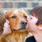 perro con niños