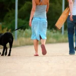 Beneficios de pasear con tu perro