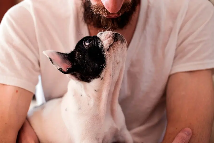 ¿Por qué mi perro me mira fijamente?