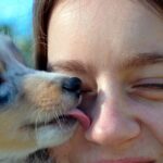 ¿Es nocivo que mi perro lama mi cara?