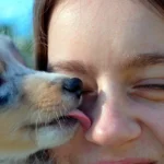 ¿Es nocivo que mi perro lama mi cara?