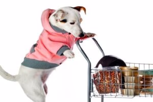 perro comprando
