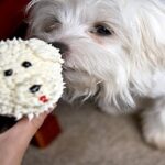 cupcakes para perro