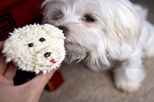 cupcakes para perro