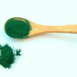 Beneficios de la Espirulina en perros