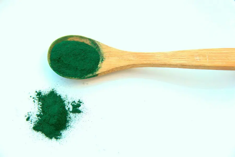 Beneficios de la Espirulina en perros