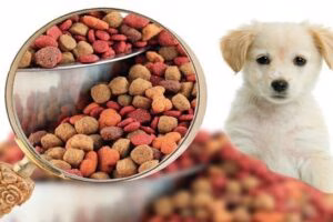 comida para perro