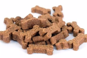 snacks husitos
