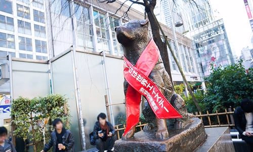 hachiko estatua