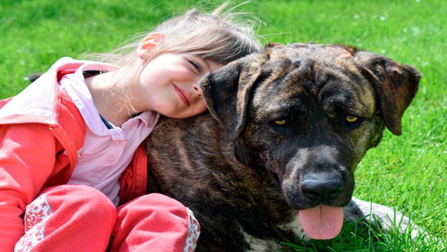 niña abrazando a su perro de terapia