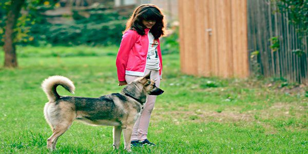 perro de terapia acompañando a niña