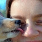 perro socializando con humano mediante lamidos
