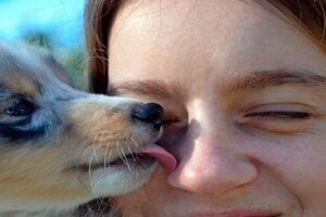 perro socializando con humano mediante lamidos
