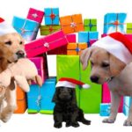 perros con regalos