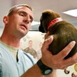 cachorro en el veterinario para la vacunación contra el moquillo