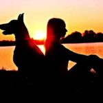 doberman con su humano