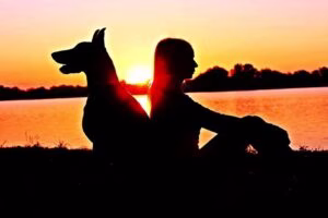 doberman con su humano