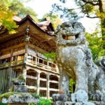 perros japoneses