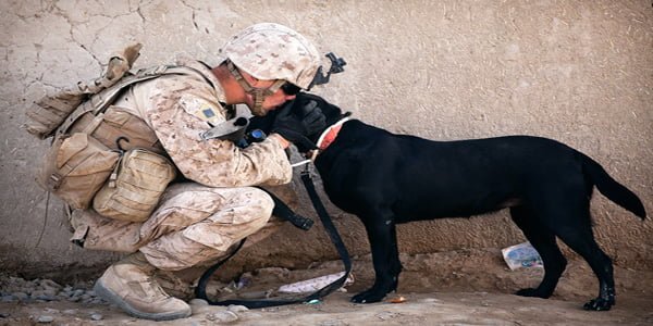 perro con soldado
