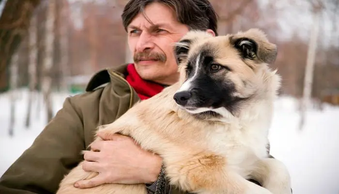 perro en brazos