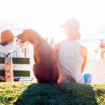 una día de playa con nuestro perro