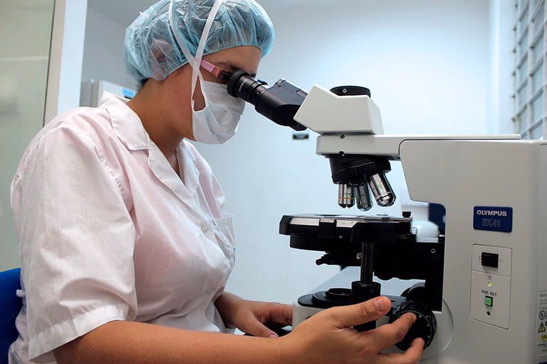veterinaria-localizando-el-virus-distemper