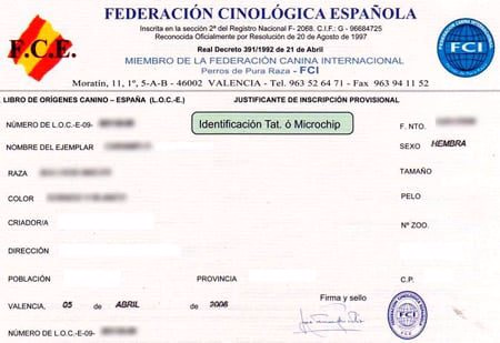 certificado de pedigree