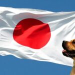 bandera de japon con perro