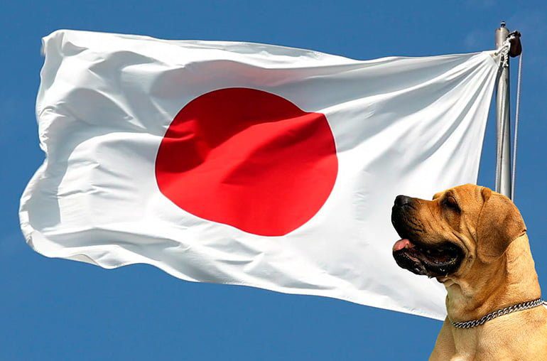 bandera de japon con perro