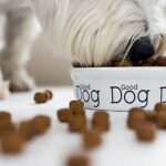 perro comiendo su comida