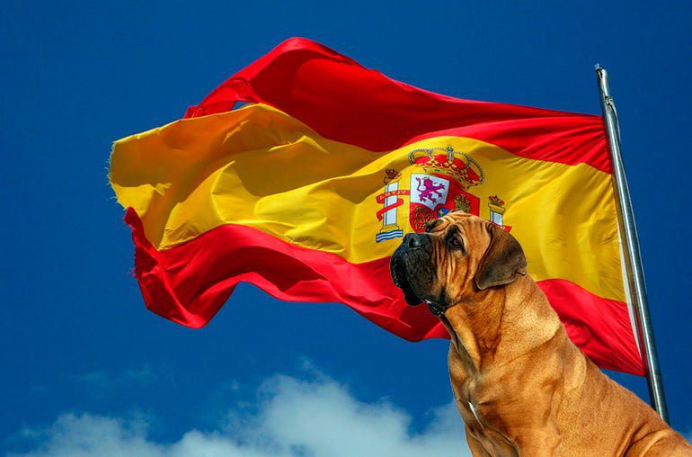 razas españolas de perro
