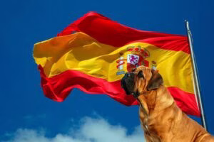 razas españolas de perro