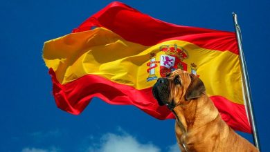 razas españolas de perro