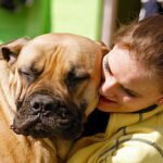 abrazo a perro