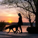 mujer paseando con su perro