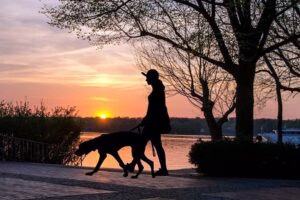 mujer paseando con su perro