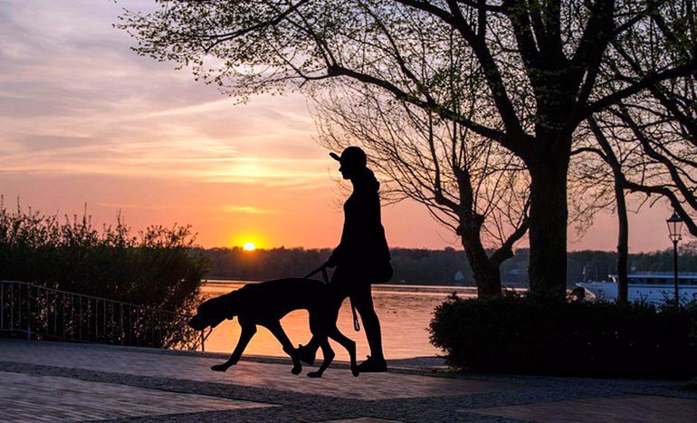 mujer paseando con su perro